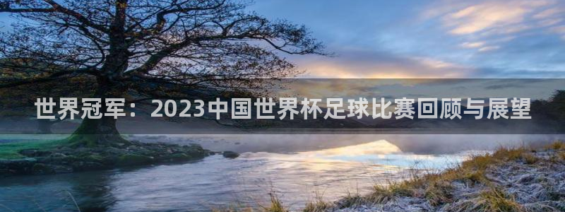 中国 世界杯：世界冠军：2023中国世界杯足球比赛回顾与展望