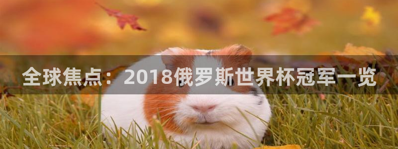 2006年世界杯：全球焦点：2018俄罗斯世界杯冠军一览