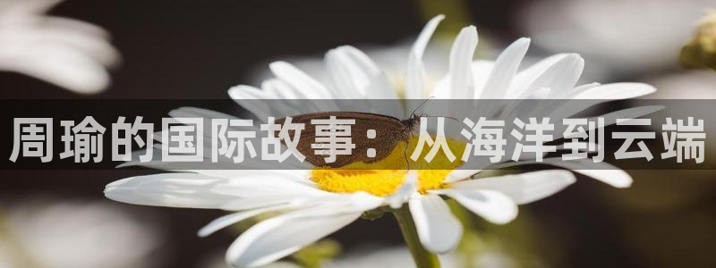 世界杯欧洲区世预赛赛程：周瑜的国际故事：从海洋到云端