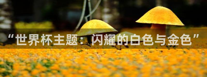 世俱杯直播：“世界杯主题：闪耀的白色与金色”