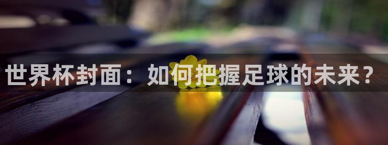 足球世界杯时间：世界杯封面：如何把握足球的未来？