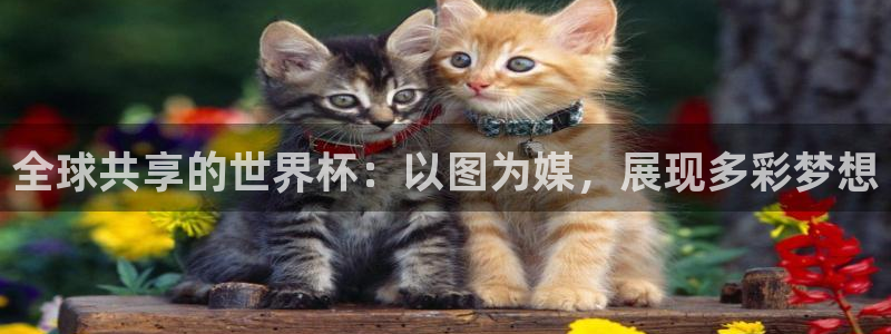 世界杯今日赛程直播：全球共享的世界杯：以图为媒，展现多彩梦想