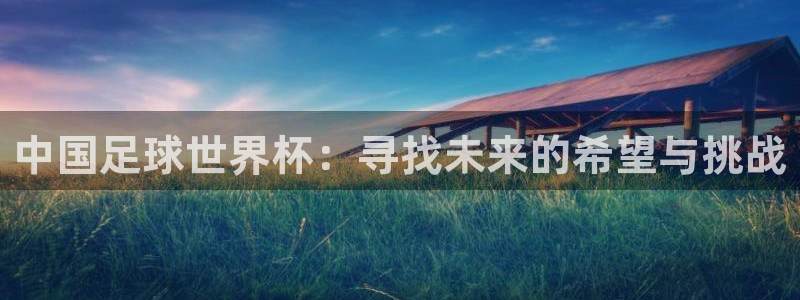 2026年世界杯时间表：中国足球世界杯：寻找未来的希望与挑战