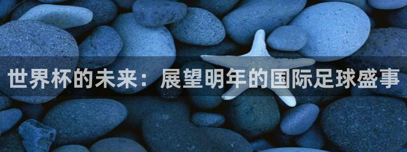 世界杯足球赛2026赛程时间：世界杯的未来：展望明年的国际足球盛事