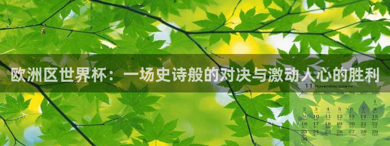 2026足球世界杯赛程：欧洲区世界杯：一场史诗般的对决与激动人心的胜利