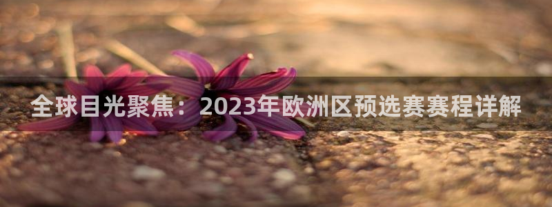 世界杯足球比赛：全球目光聚焦：2023年欧洲区预选赛赛程详解