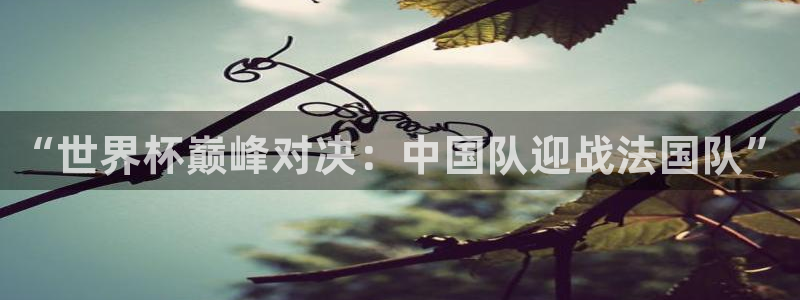 免费足球比赛直播高清：“世界杯巅峰对决：中国队迎战法国队”