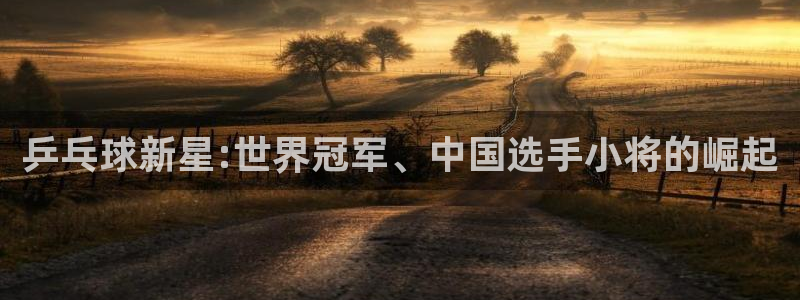 世界杯预选赛亚洲：乒乓球新星:世界冠军、中国选手小将的崛起